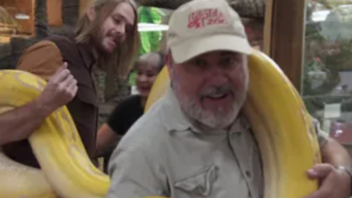 Reptile Royalty TV show screenshot 2: Jay Brewer carries heavy yellow snake while man helps hold it up behind him. 