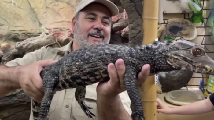 Reptile Royalty TV show screenshot 3: Jay holds up a reptile. 