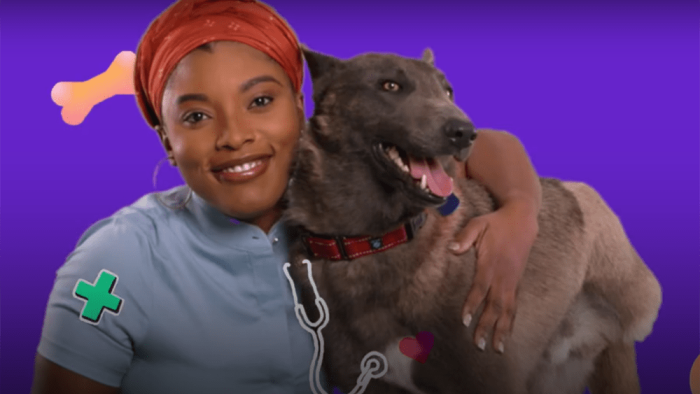 Roman to the Rescue TV Show: veterinarian Aziza with a dog
