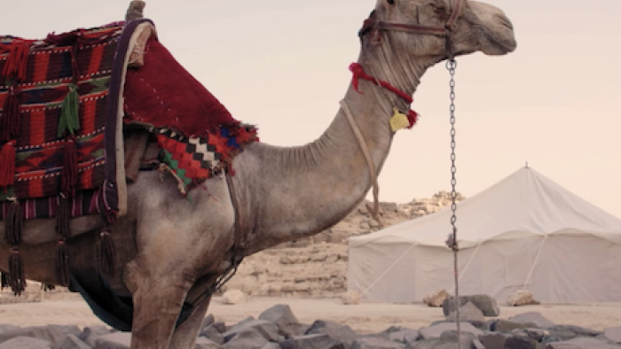 Scanning the Pyramids TV: Scene #3