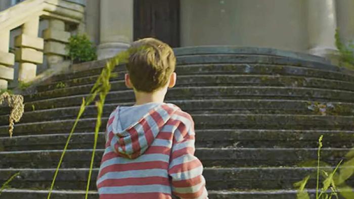 A little boy in a striped hoodie, seen from behind as he stands looking up at a flight of grey concrete stairs outside a house.