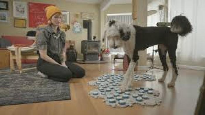 The Hidden Lives of Pets TV show-- Scene 1