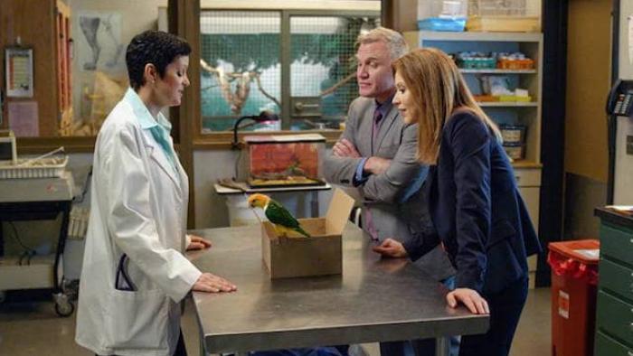 The Inspectors TV Show: Scene #2