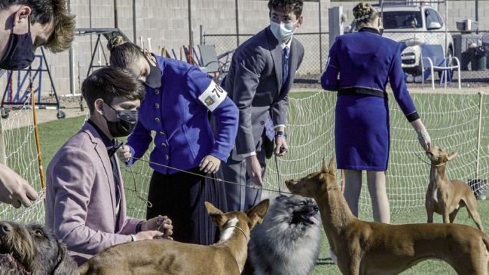 The Mighty Underdogs TV Show: Kids at a dog show competition