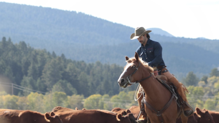 The Wranglers TV show screenshot 3: Carlson Rapsilver herding cattle. 