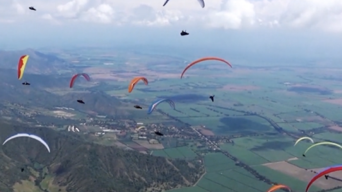 The Outdoor Sports Show TV Series: Paragliding competition over Colombia. 