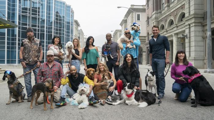 The Pack TV Show: Twelve very good dogs and their humans compete