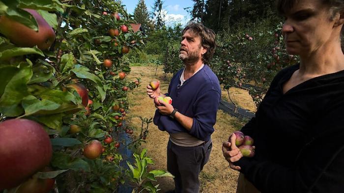 This is a Gardening Show TV show screenshot 3: Zach learns about picking apples