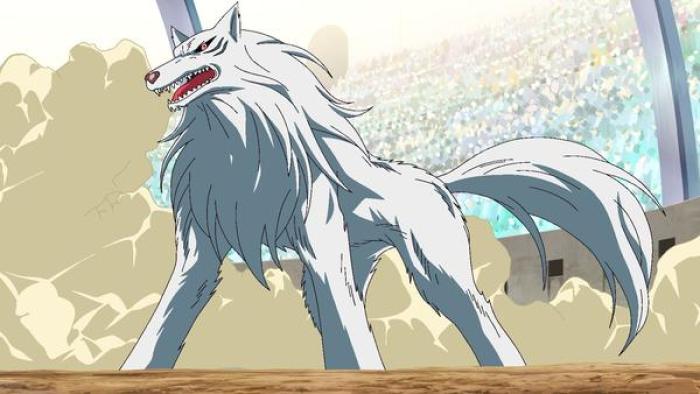 Toriko TV show: A large white wolf is seen standing in the middle of an arena, it’s bearing its fangs and has kicked up a large dust cloud, behind it an arena dome can be seen.