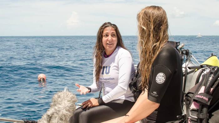 What Sam Sees TV Show: Sam and a fellow diver sitting on the beach