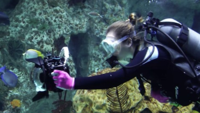 What Sam Sees TV Show: Sam uses her Sam Cam during a dive