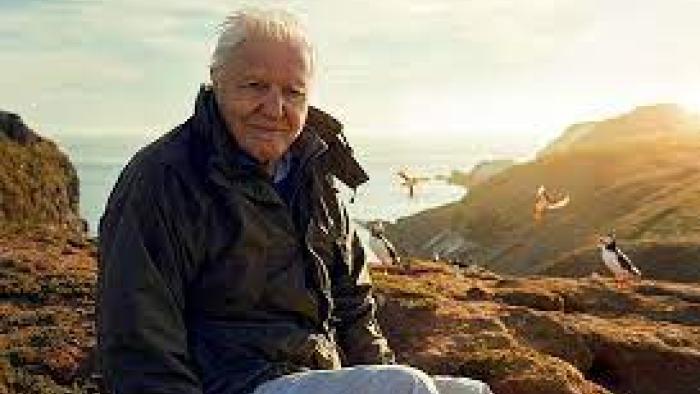 Wild Isles TV show screenshot #1: David Attenborough faces the camera while sitting outdoors