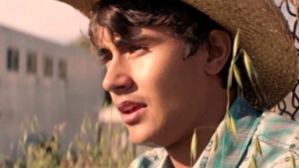 Centurion: The Dancing Stallion Movie Review | Common Sense Media