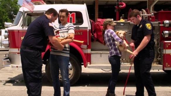 12 Dog Days Till Christmas Movie Review | Common Sense Media