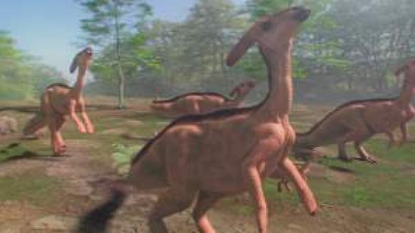 Rex Rise The Rise and Fall of T-Rex Movie Review | Common Sense Media