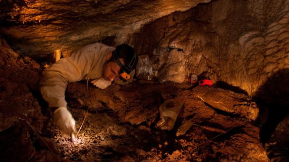 Unknown: Cave of Bones - Parents' Guide & Movie Review | Common Sense Media