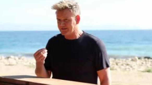 Gordon Ramsay's Food Stars TV Review | Common Sense Media