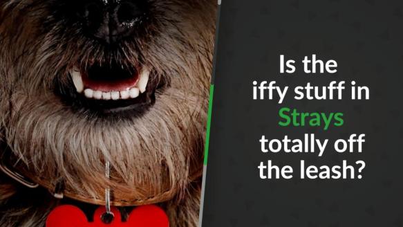 Strays - Parents' Guide & Movie Review | Common Sense Media