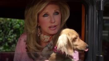 Wiener Dog Internationals Trailer