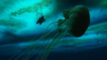 Frozen Planet Trailer