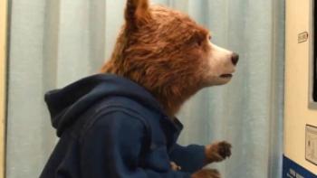 Paddington in Peru Trailer
