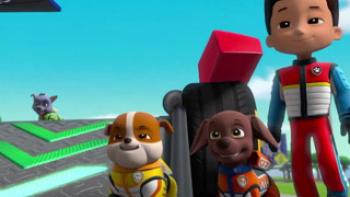 paw patrol ready
