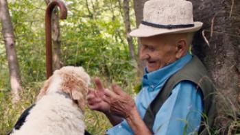 The Truffle Hunters Trailer