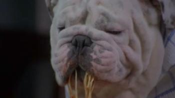 The Dogfather Trailer