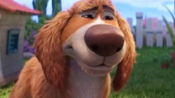 Charlie the Wonderdog Trailer