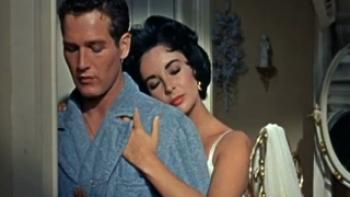 Cat on a Hot Tin Roof Trailer