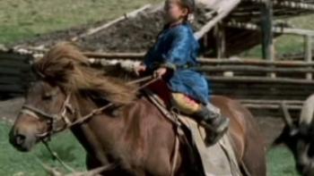 The Cave of the Yellow Dog Trailer