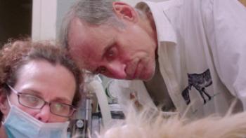 The Dog Doc Trailer