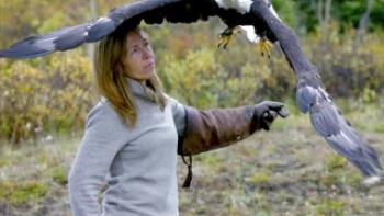 Dr. Oakley Yukon Vet Trailer