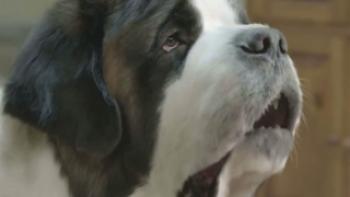 Beethoven's Christmas Adventure Trailer