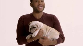 Animal Nation with Anthony Anderson Trailer