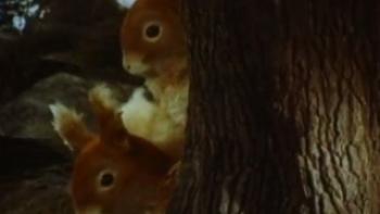 Tales of Beatrix Potter Trailer