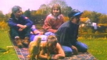 The Phoenix and the Magic Carpet Trailer