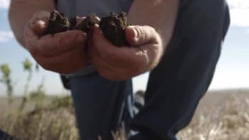 Kiss the Ground Trailer