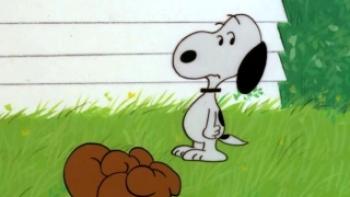 Snoopy, Come Home Trailer