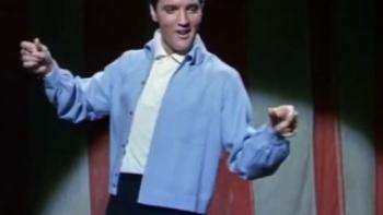 Roustabout Trailer