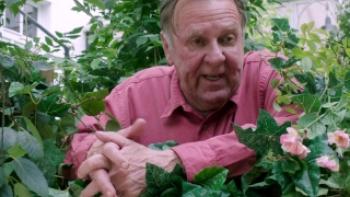 This Beautiful Fantastic Trailer