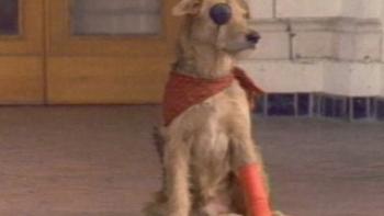 Sherlock: Undercover Dog Trailer