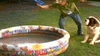 Beethoven's 4th Trailer