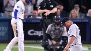 Fight for Glory: 2024 World Series Trailer