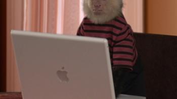 Dr. Dolittle: Million Dollar Mutts Trailer