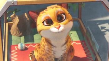 Pets on a Train Trailer