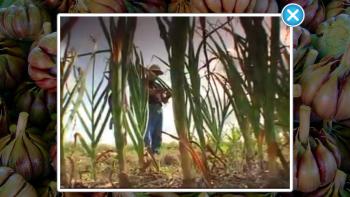 ABC Food App: Screenshot #3