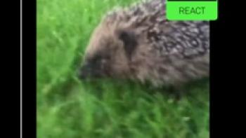 beme: Share video. Honestly. App: Screenshot #3