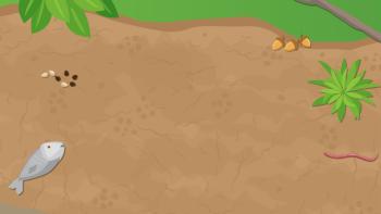 Camping With Grandpa App Screenshot #3