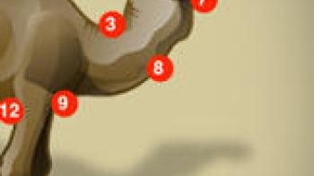 Preschool Connect the Dots App: Screenshot #2
